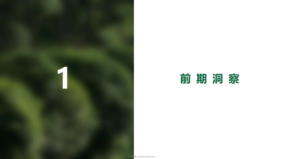 2023怡宝纯净水品牌水饮抖音DP方案 第 4 页