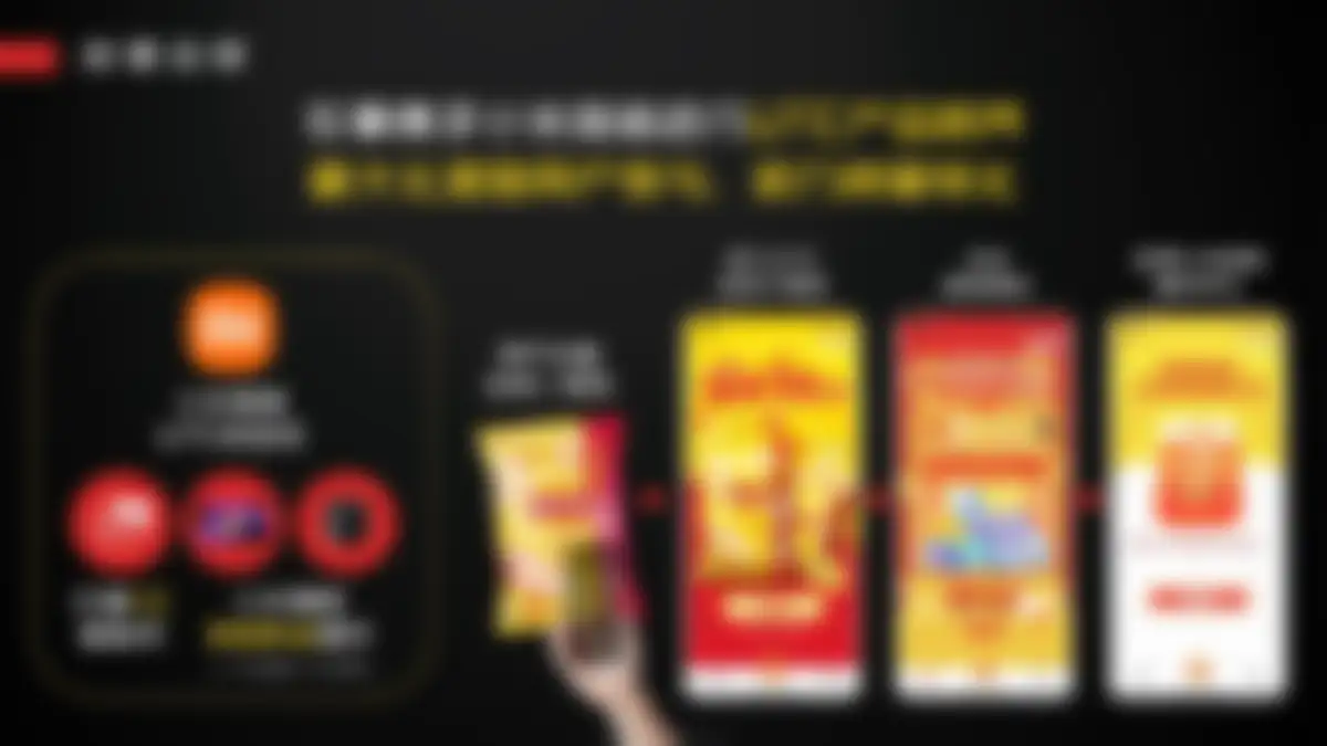 乐事×小米UTC跨界全链路营销复盘 第 13 页会员预览
