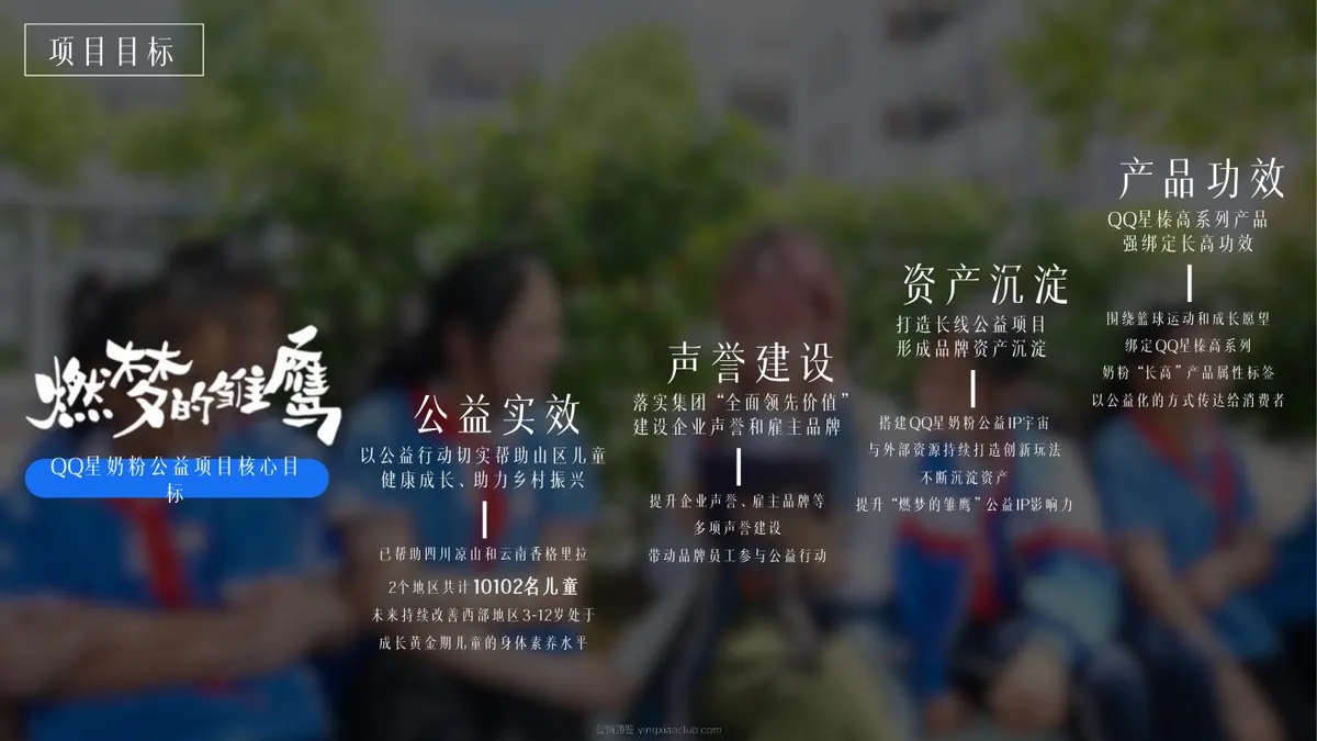 QQ星奶粉“燃梦的雏鹰”公益项目方案 第 3 页
