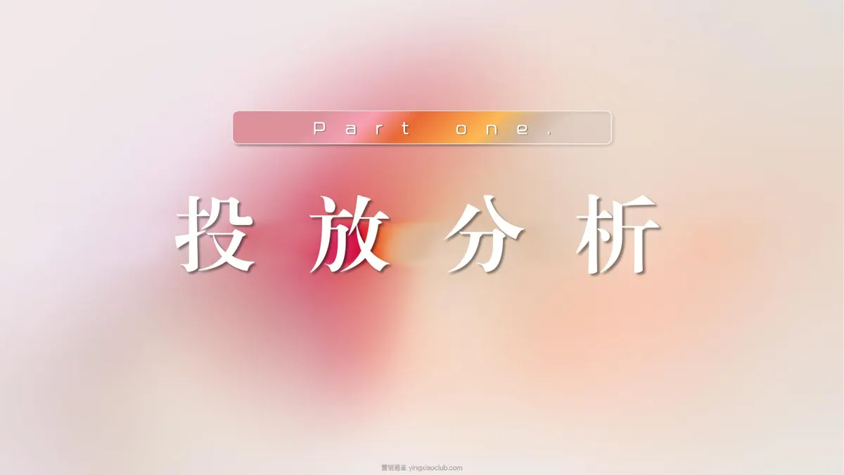 2024施丹兰小红书营销方案 第 3 页