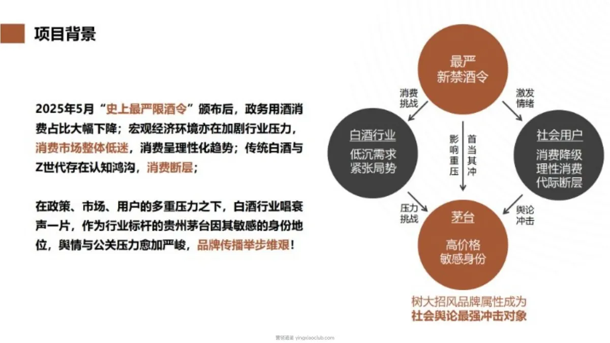 茅台父亲节-我的“驳学”父亲营销策略案 第 2 页