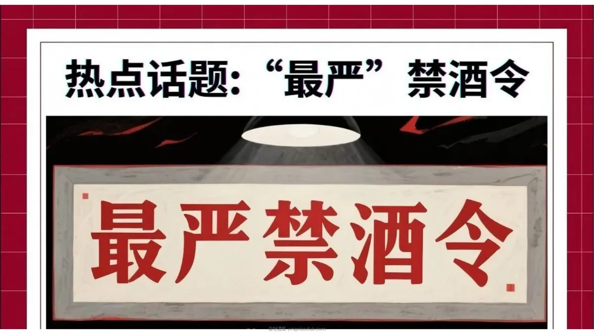 茅台父亲节-我的“驳学”父亲营销策略案 第 3 页