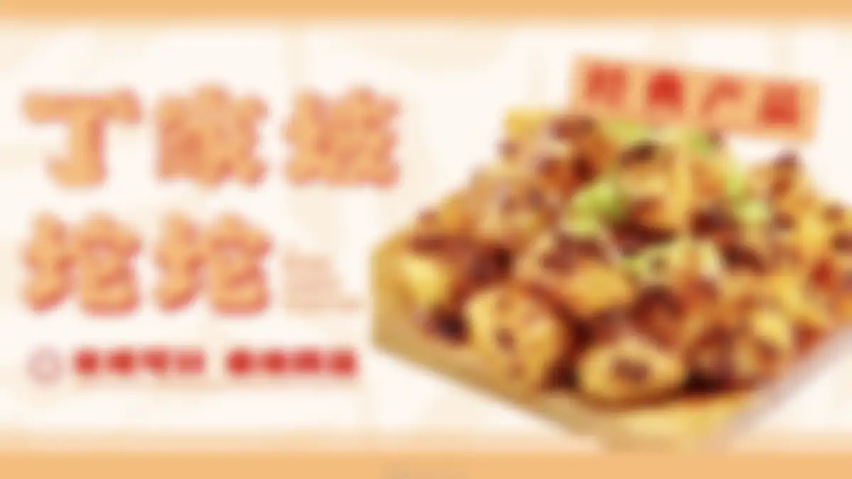 2026丁家坡洋芋品牌手册 第 14 页会员预览