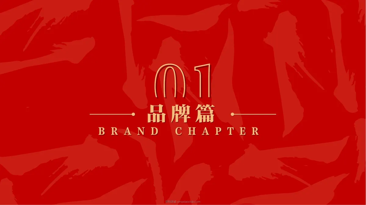 2026丁家坡洋芋品牌手册 第 4 页