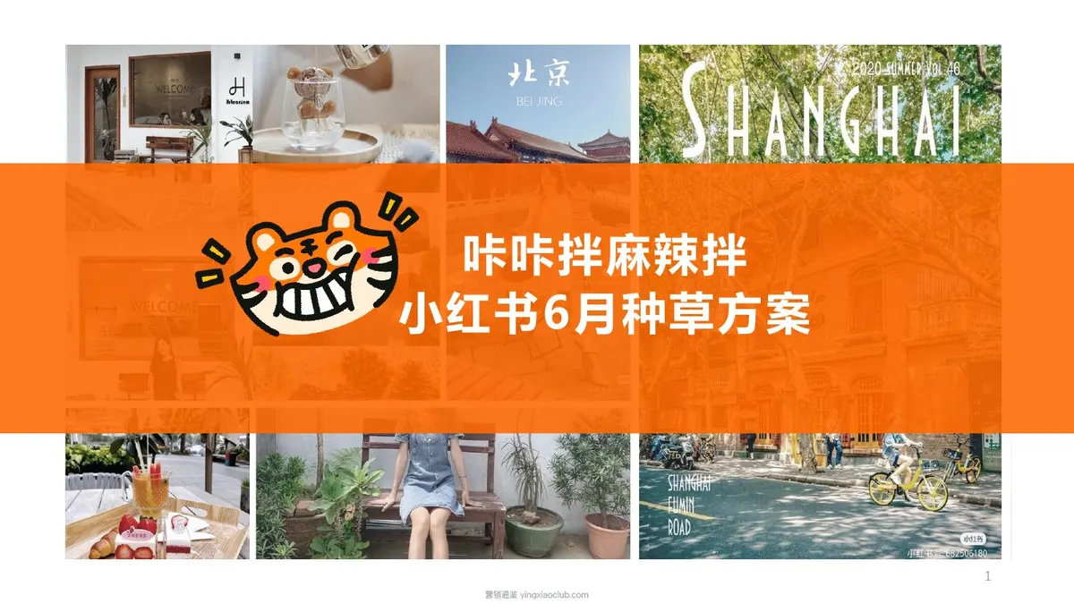 2026速食品牌麻辣拌小红书种草方案