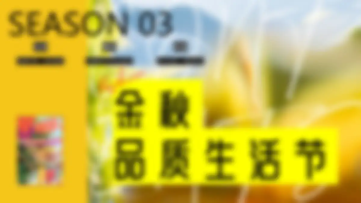 2026年度营销活动方案 第 23 页会员预览