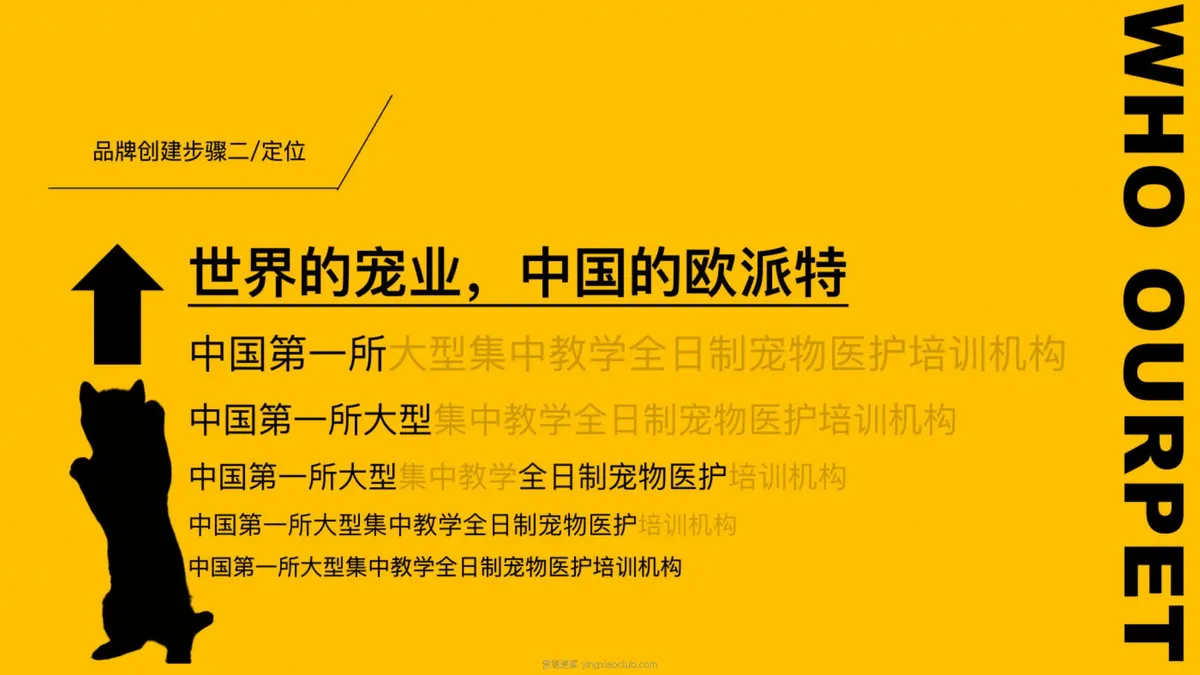 2026宠业品牌欧派特品牌手册 第 3 页
