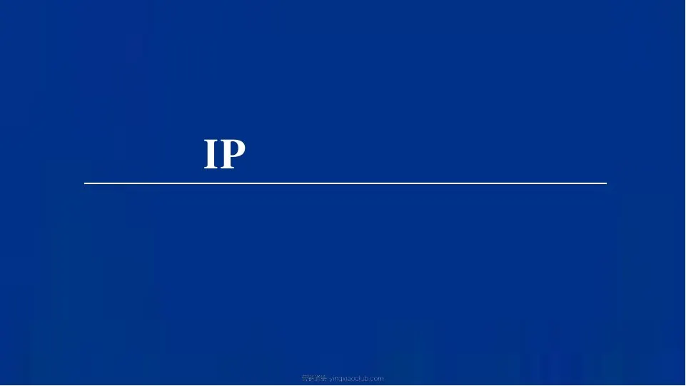 雷军IP与小米全民营销体系