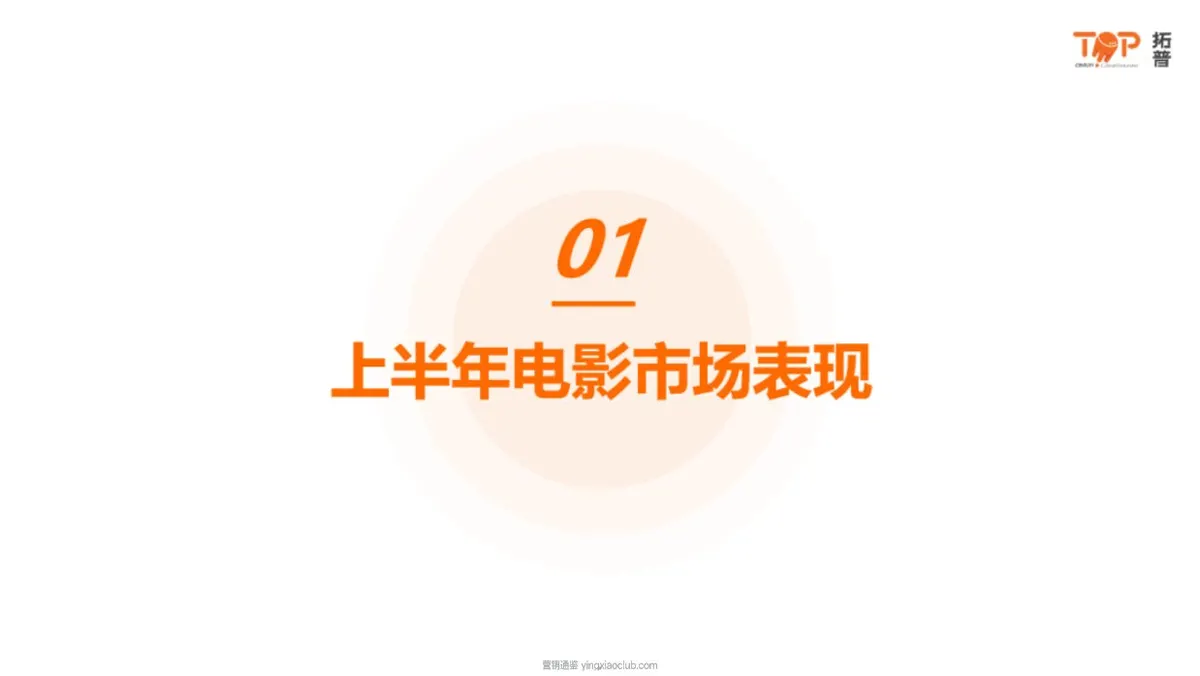 拓普-电影行业:放映终端偷漏瞒报行为报告 第 5 页