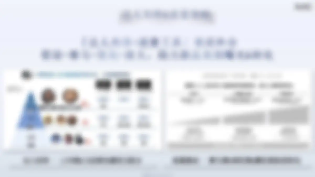 AHC新品上市营销方案复盘 第 19 页会员预览
