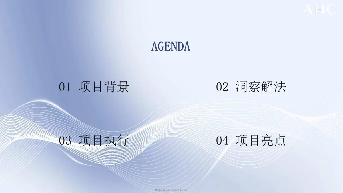 AHC新品上市营销方案复盘 第 2 页
