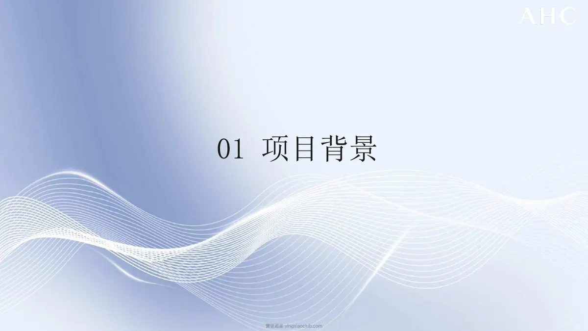 AHC新品上市营销方案复盘 第 5 页