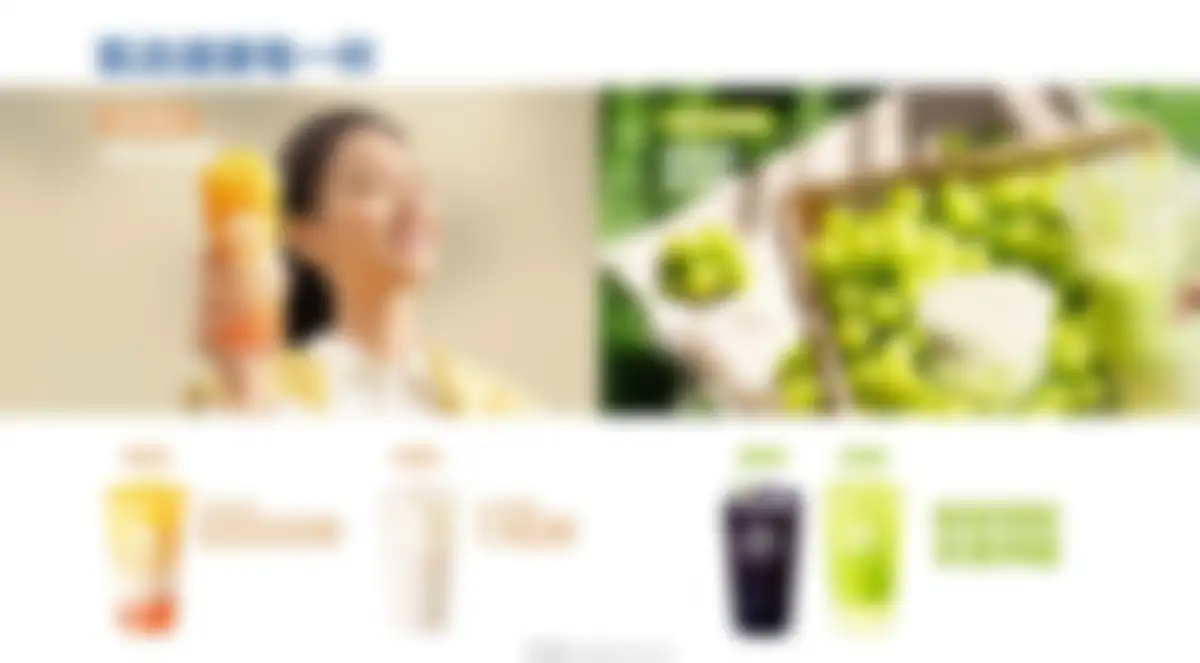 茶百道品牌手册 第 13 页会员预览