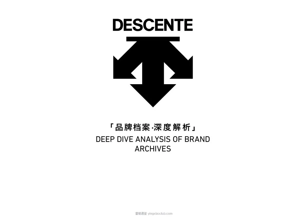 迪桑特品牌营销策略全案 第 1 页