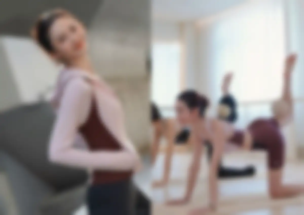 迪桑特品牌营销策略全案 第 121 页会员预览