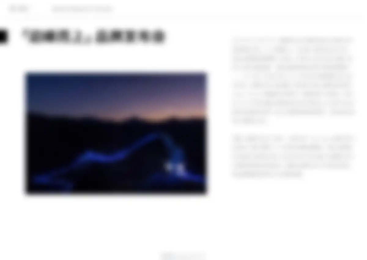 迪桑特品牌营销策略全案 第 157 页会员预览