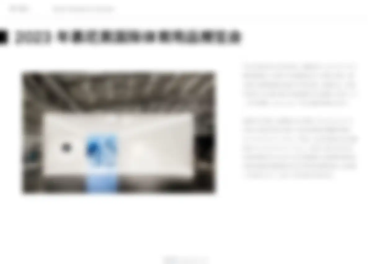 迪桑特品牌营销策略全案 第 164 页会员预览