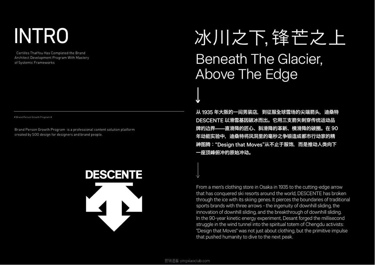 迪桑特品牌营销策略全案 第 2 页