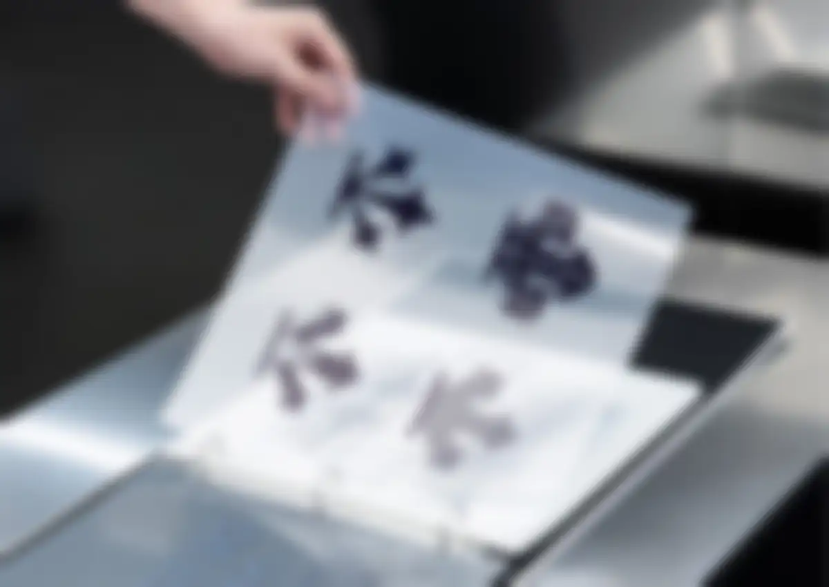 迪桑特品牌营销策略全案 第 256 页会员预览