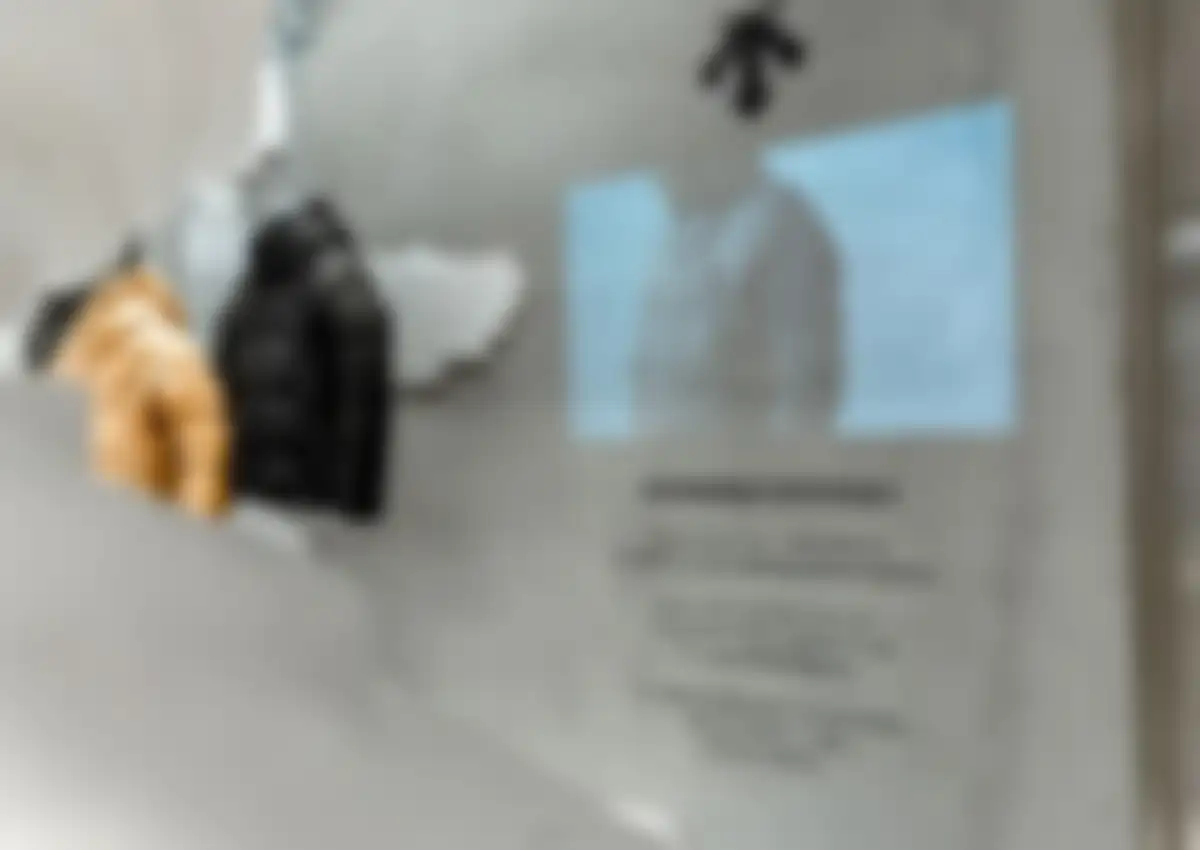 迪桑特品牌营销策略全案 第 294 页会员预览