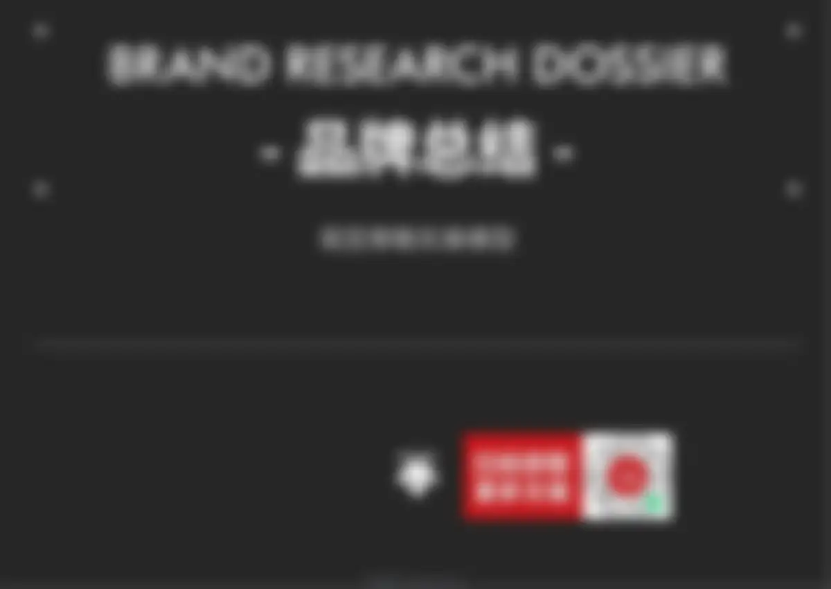 迪桑特品牌营销策略全案 第 378 页会员预览