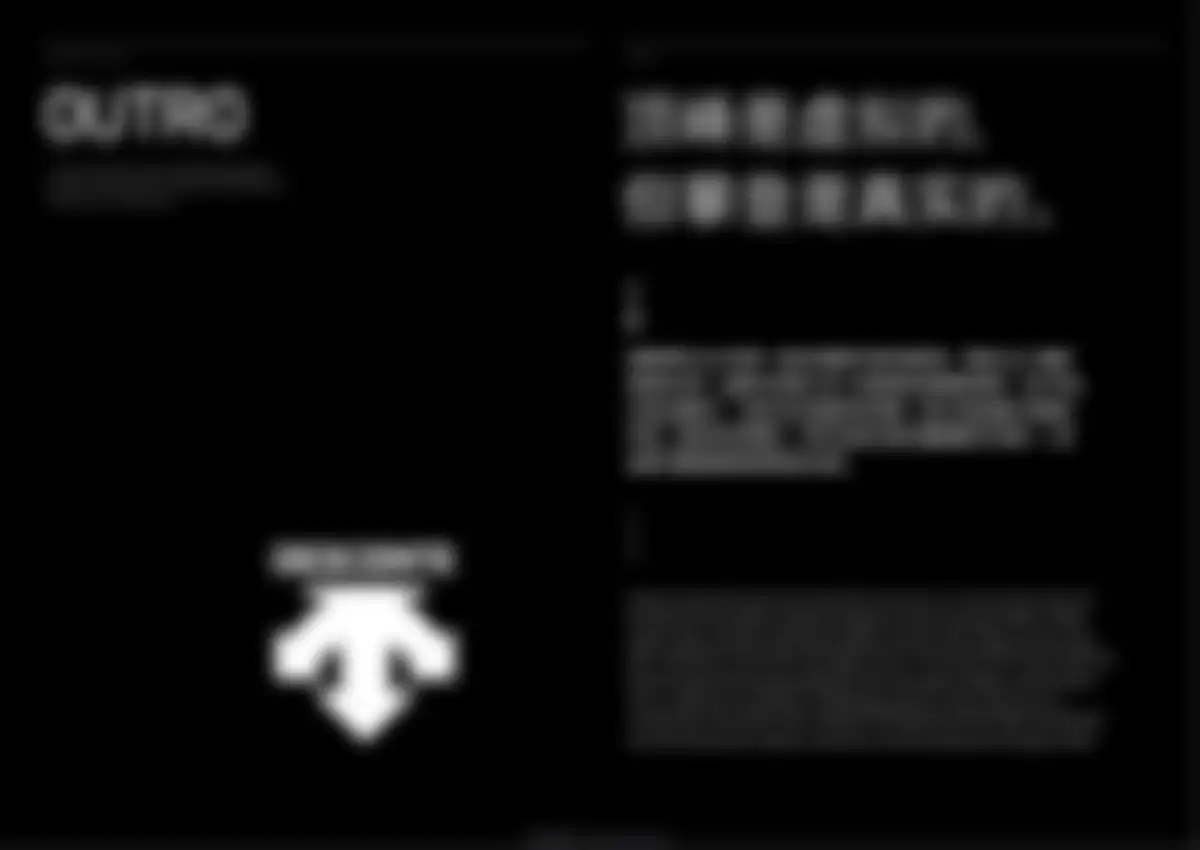 迪桑特品牌营销策略全案 第 380 页会员预览
