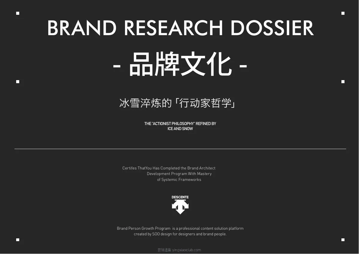 迪桑特品牌营销策略全案 第 4 页