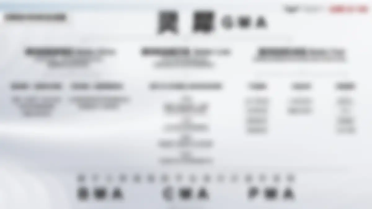 吉利品牌提升策略全案代理比稿方案 第 127 页会员预览