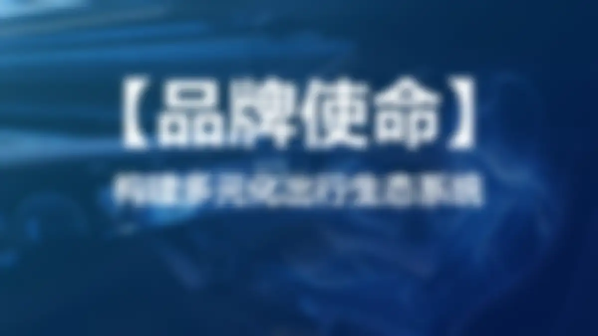 吉利品牌提升策略全案代理比稿方案 第 52 页会员预览