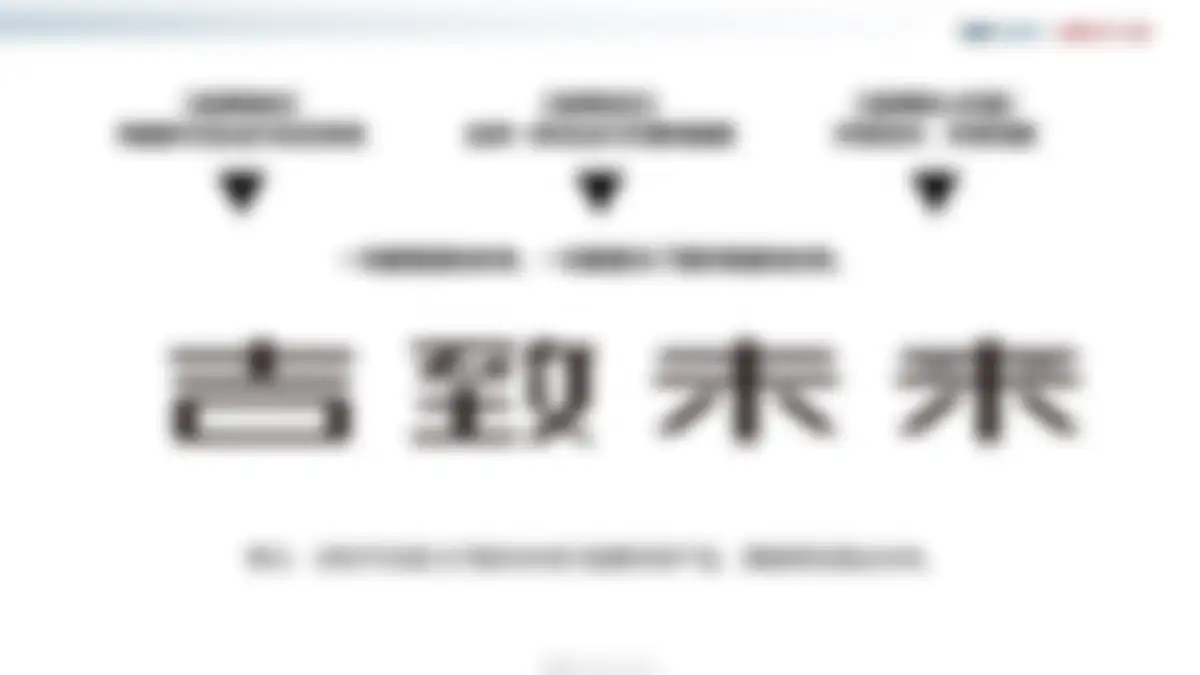 吉利品牌提升策略全案代理比稿方案 第 55 页会员预览