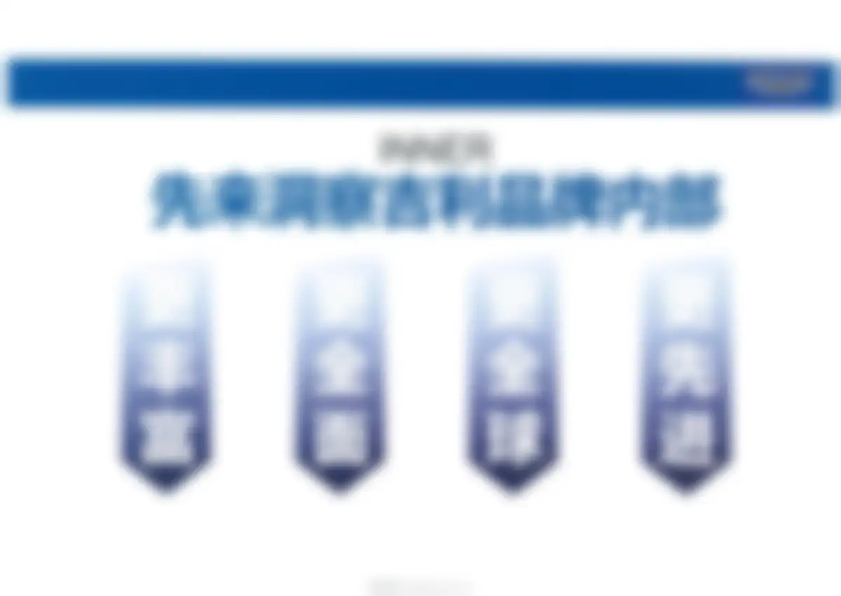 吉利国际全案广告代理竞标文件 第 21 页会员预览