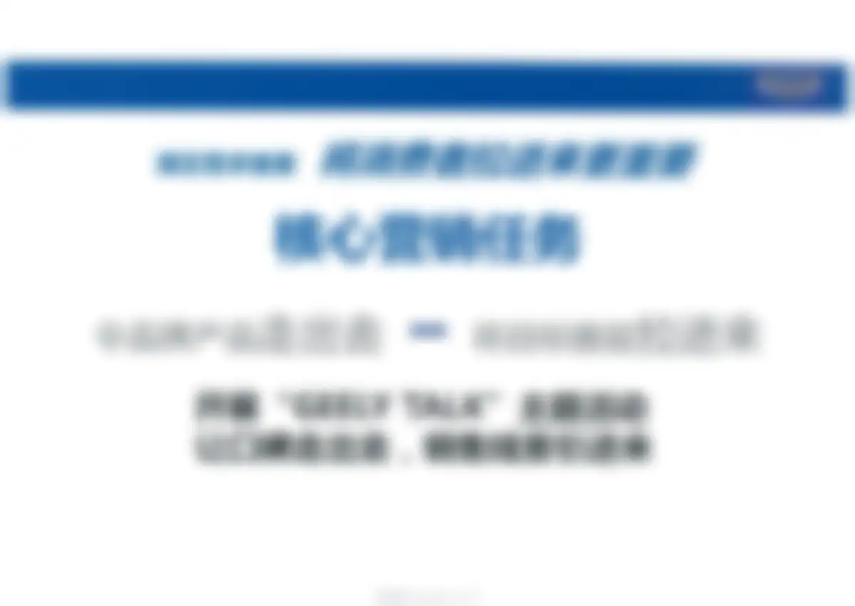 吉利国际全案广告代理竞标文件 第 63 页会员预览