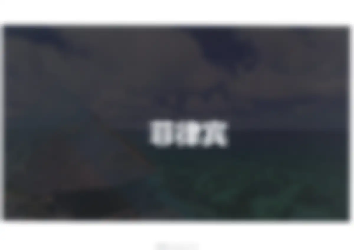 吉利国际全案广告代理竞标文件 第 90 页会员预览