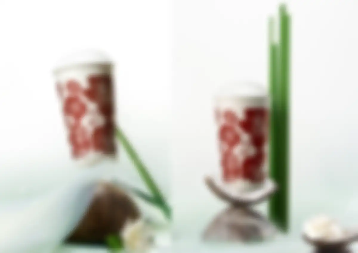 古茗goodme品牌营销策略全案 第 29 页会员预览