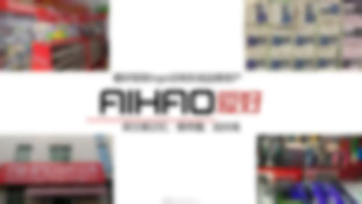 华与华:爱好笔品牌战略升级方案 第 28 页会员预览
