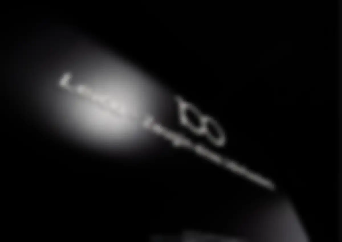 Leica徕卡品牌营销深度解析 第 191 页会员预览