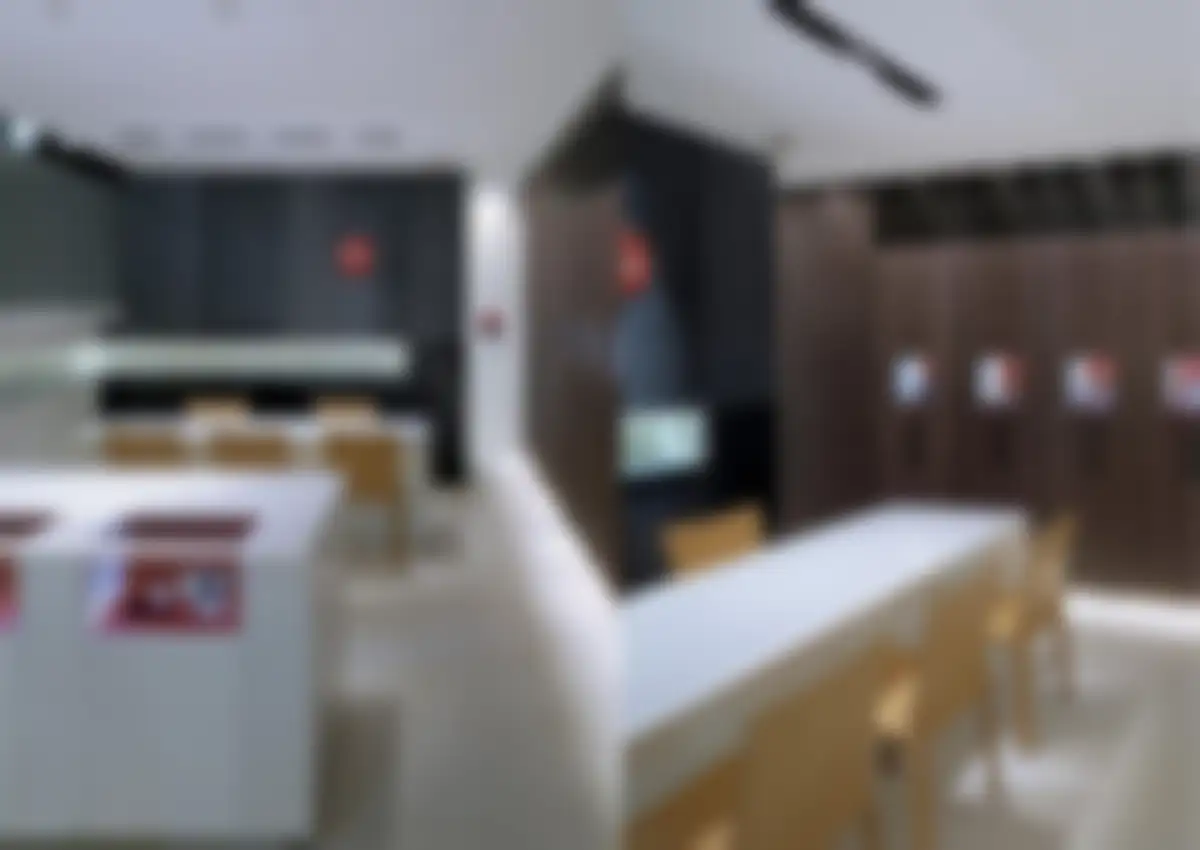Leica徕卡品牌营销深度解析 第 227 页会员预览