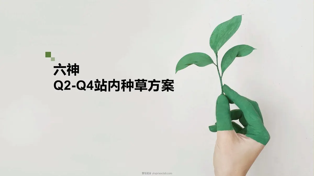 六神花露水Q2-Q4站内种草方案