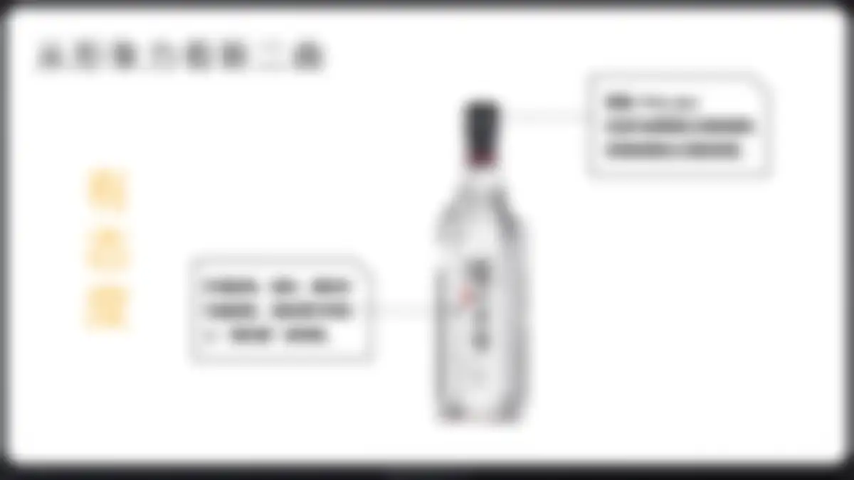 泸州老窖黑盖二曲产品TVC脚本方案 第 16 页会员预览