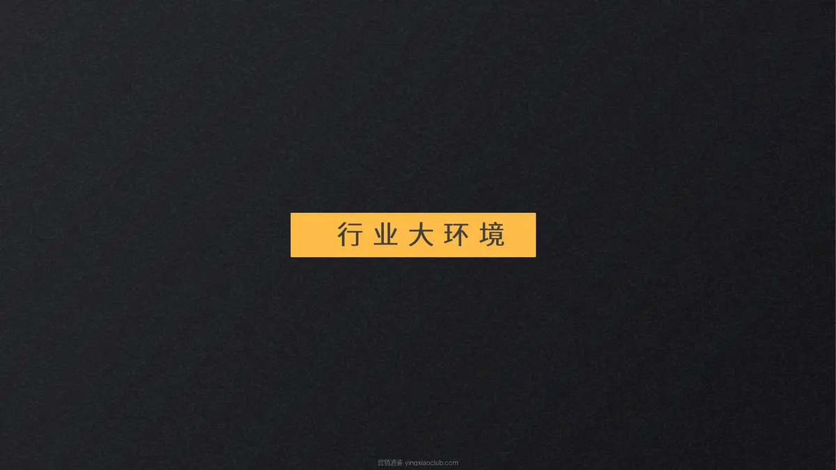 泸州老窖黑盖二曲产品TVC脚本方案 第 3 页