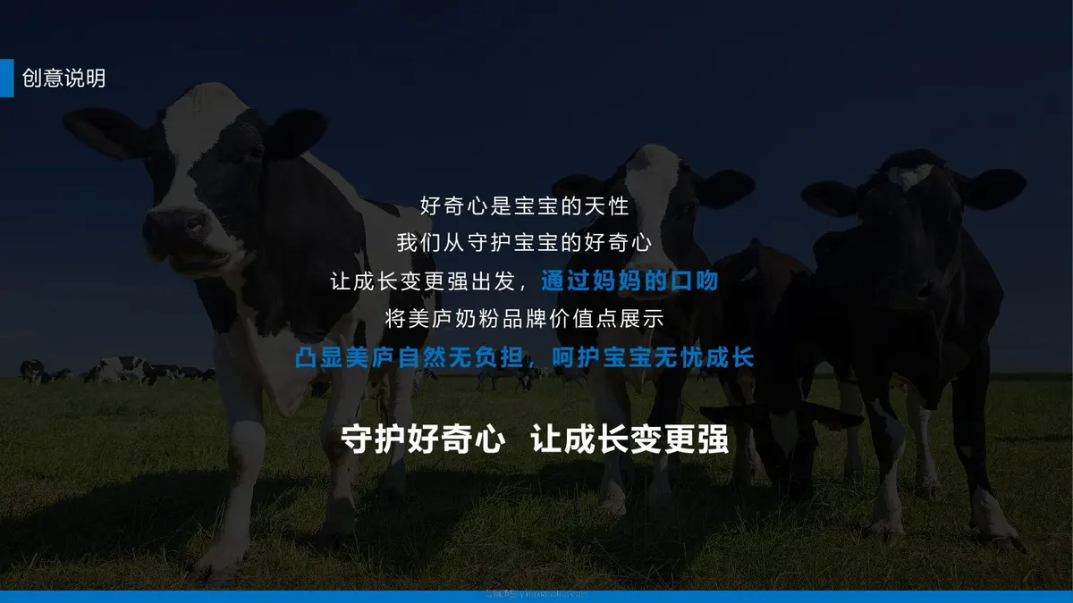 美庐TVC视频创意沟通方案 第 5 页