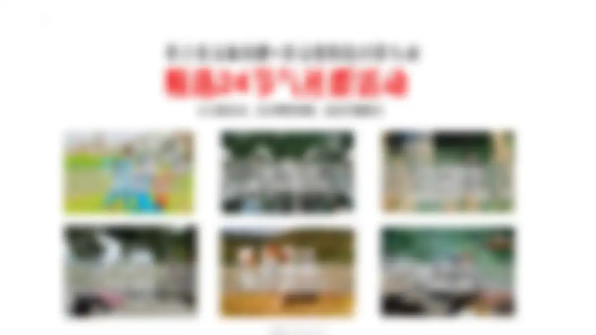 美的鹭湖品牌体系建设方案 第 115 页会员预览