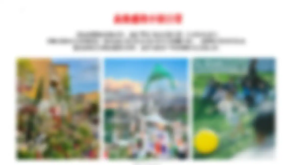 美的鹭湖品牌体系建设方案 第 129 页会员预览