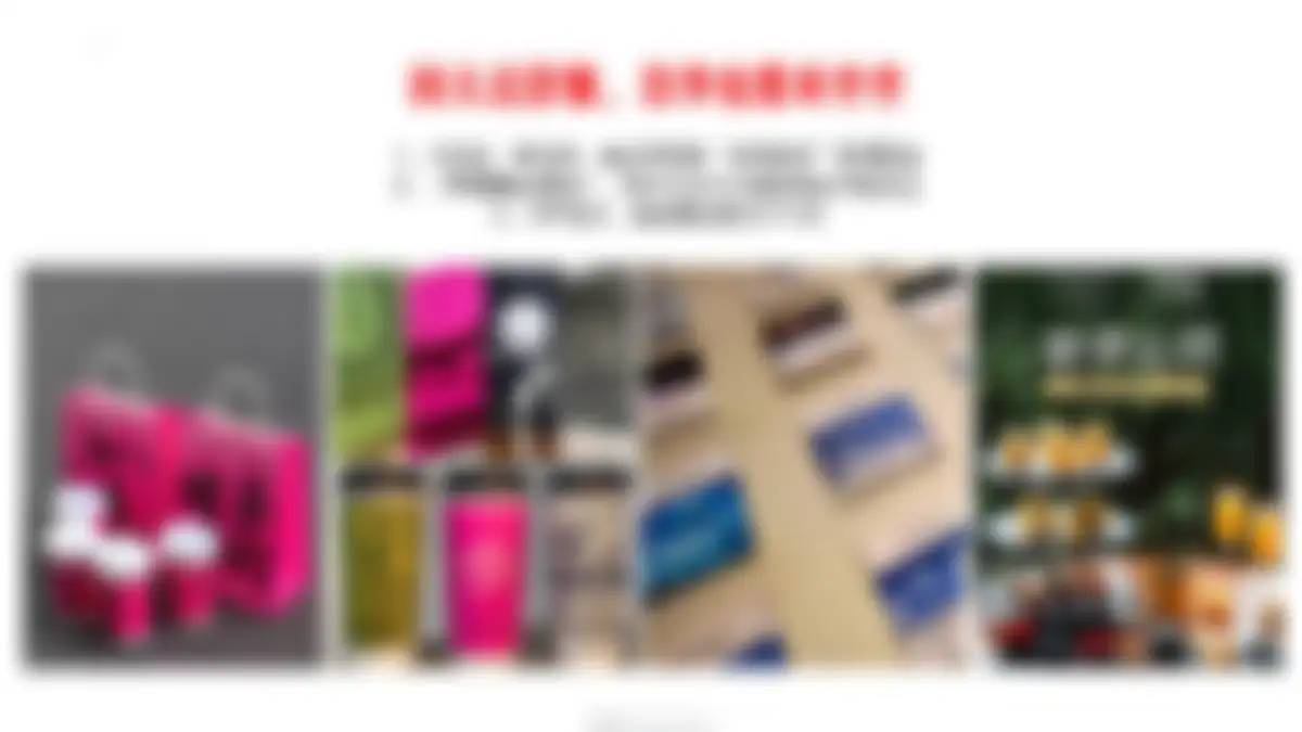 美的鹭湖品牌体系建设方案 第 133 页会员预览