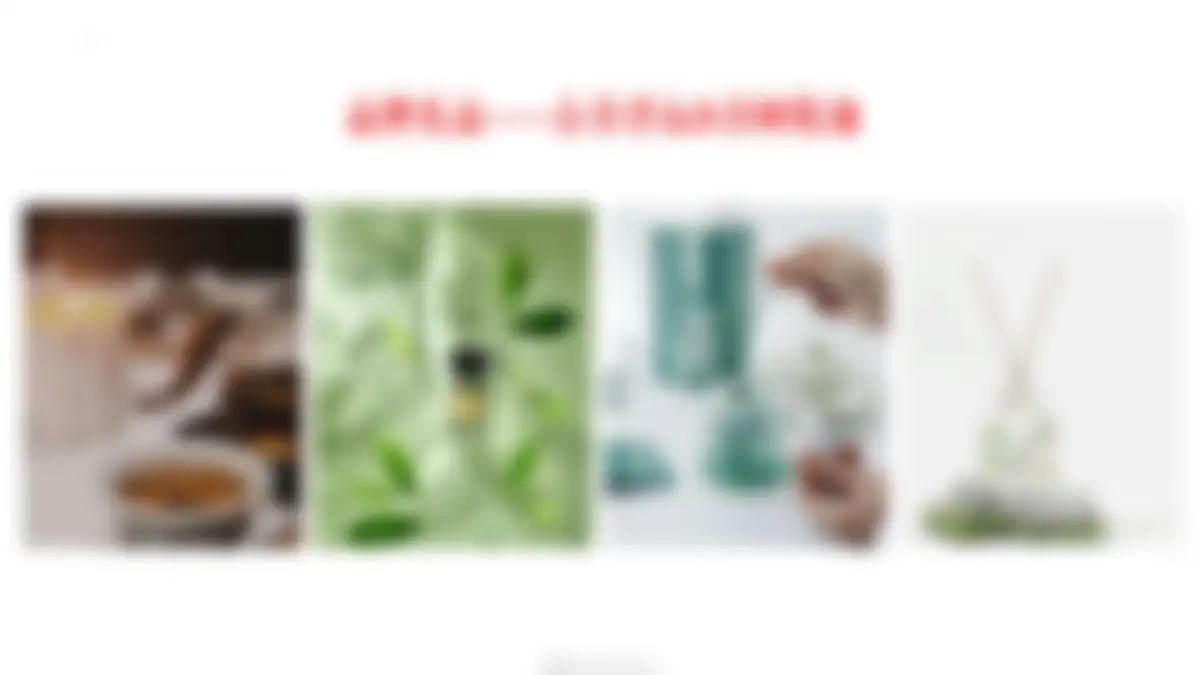 美的鹭湖品牌体系建设方案 第 135 页会员预览