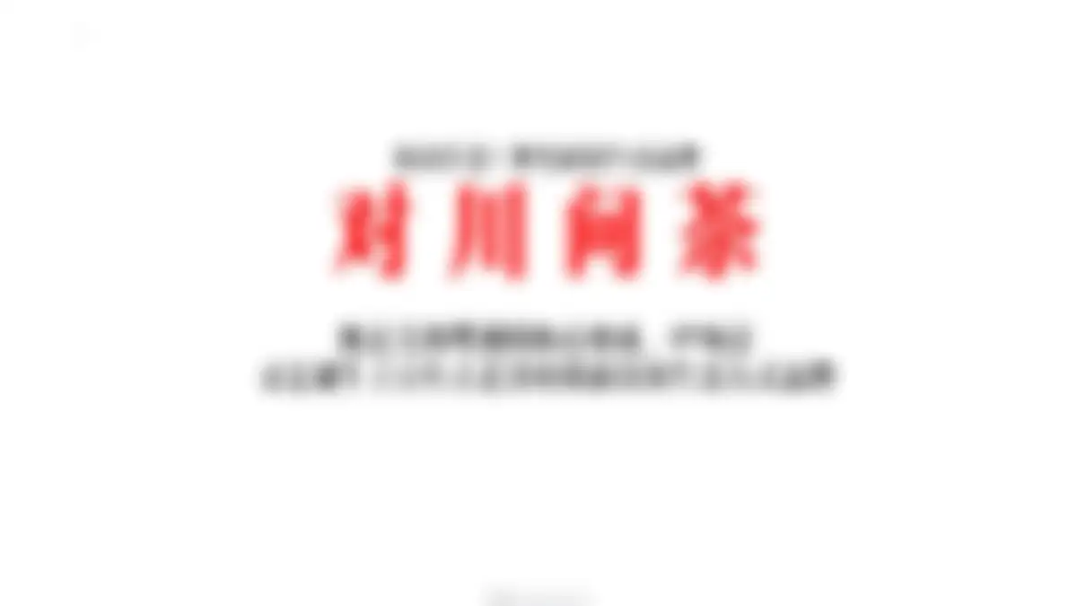 美的鹭湖品牌体系建设方案 第 71 页会员预览