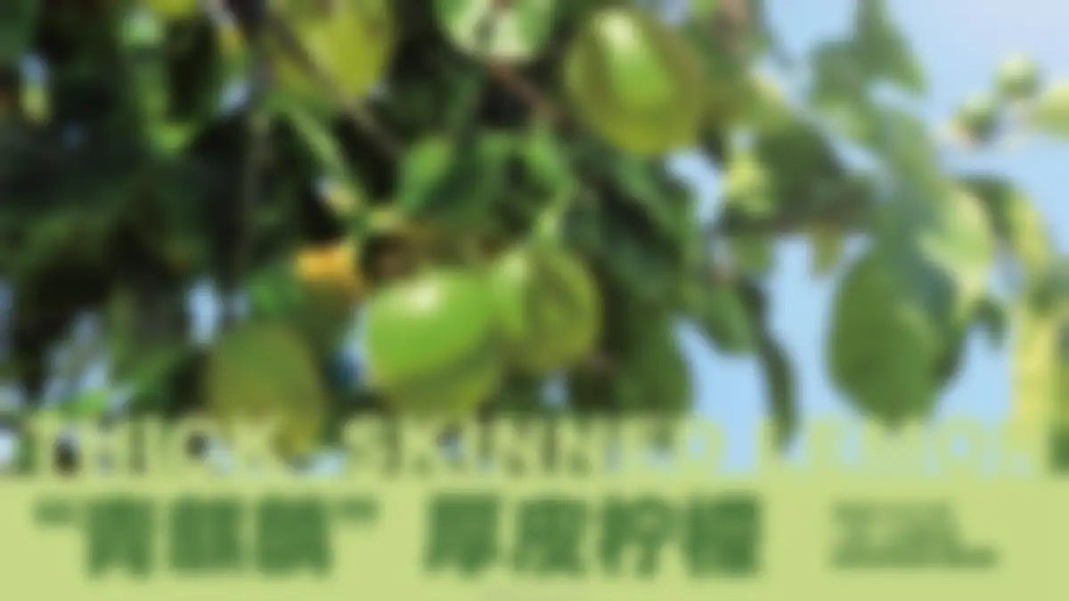 DAKOTEA麒麟大口茶品牌手册 第 10 页会员预览