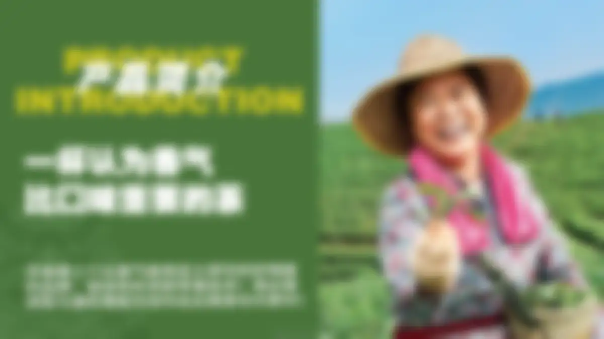 DAKOTEA麒麟大口茶品牌手册 第 47 页会员预览