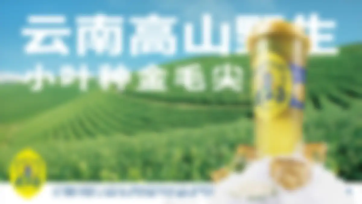 DAKOTEA麒麟大口茶品牌手册 第 7 页会员预览