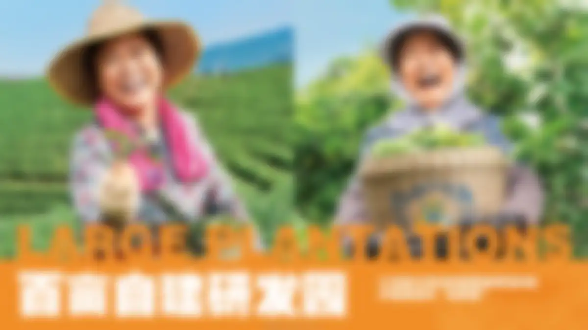 DAKOTEA麒麟大口茶品牌手册 第 9 页会员预览